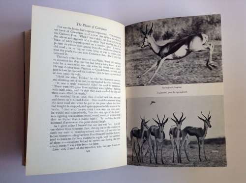 The Plains of Camdeboo: The Classic Book of the Karoo by Eve Palmer