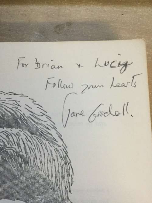 In the Shadow of Man by Dr Jane Goodall (SIGNED by author)