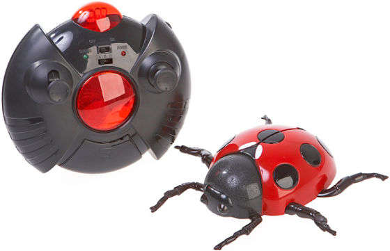 Wall Climbing R/C Insect