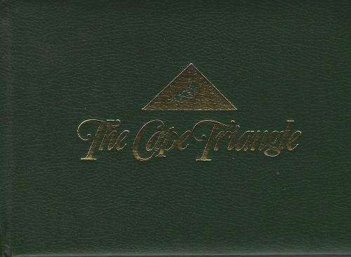 Cape of Good Hope triangle 1s used in Stanley Gibbons collectors walet. See scans.