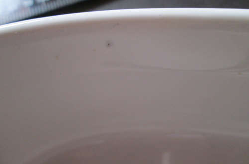 Royal Standard Milk Jug / Creamer