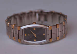 PIERRE CARDINE LADIES WATCH