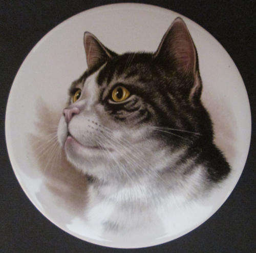 H & R Johnson Ltd Wall Cat Plaque / Coaster / Tile