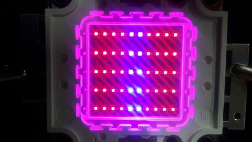 50W Grow Light Hydroponic Led Chip **IN STOCK**