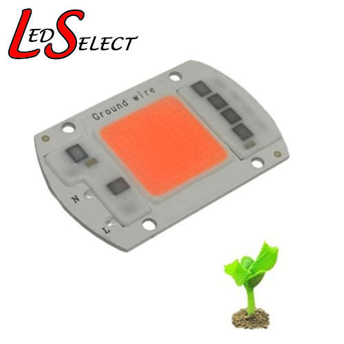 Led 50W Plant Grow Full Spectrum 220V Direct Smart IC - For Flood Light **IN STOCK**