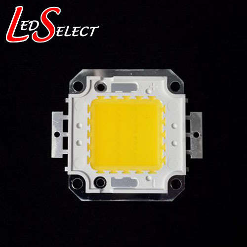20W Led Warm White for Flood Light **LOCAL STOCK**