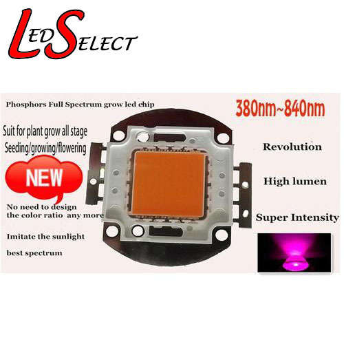 50W Led Full Spectrum Plant Grow Chip **LOCAL STOCK**