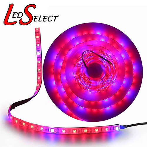 Led Strip 12V Plant Grow 5:1 Red Blue 5050 Non-Waterproof 60 Led p/mtr **LOCAL STOCK**