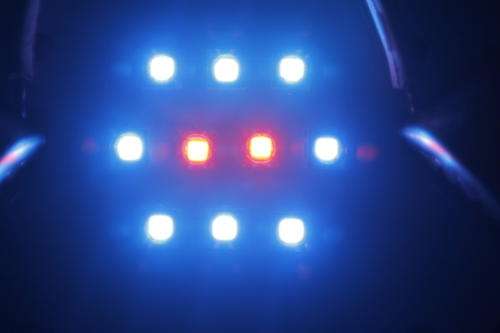 30W Cree Led Aquarium Coral Light Chip