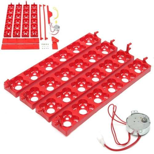 LOCAL STOCK - 24 Automatic Chicken Eggs Turner 220v 24 chicken egg or 96 Quail Egg