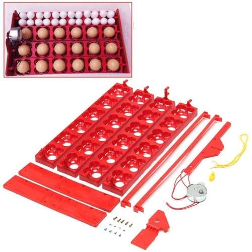 LOCAL STOCK - 24 Automatic Chicken Eggs Turner 220v 24 chicken egg or 96 Quail Egg