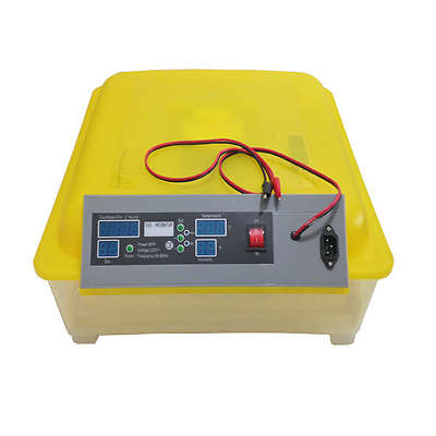 LOCAL STOCK - 48 Egg Fully Automatic Incubator
