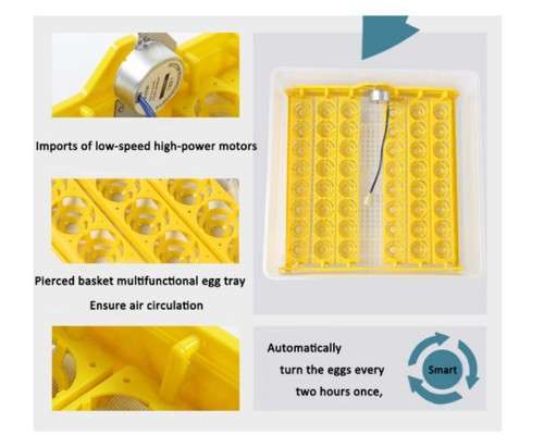 LOCAL STOCK - 48 Egg Fully Automatic Incubator