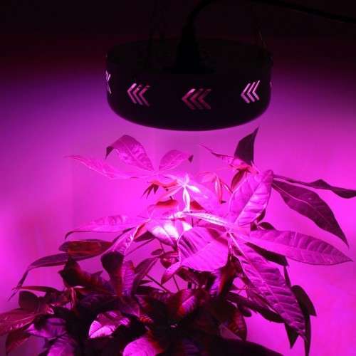 LOCAL STOCK -  Full Spectrum 216W 72 LED UFO Grow Light