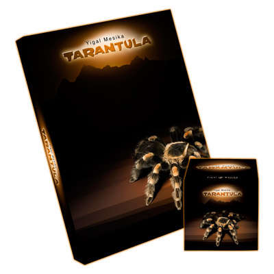 Tarantula - amazing magic - In Stock in SA