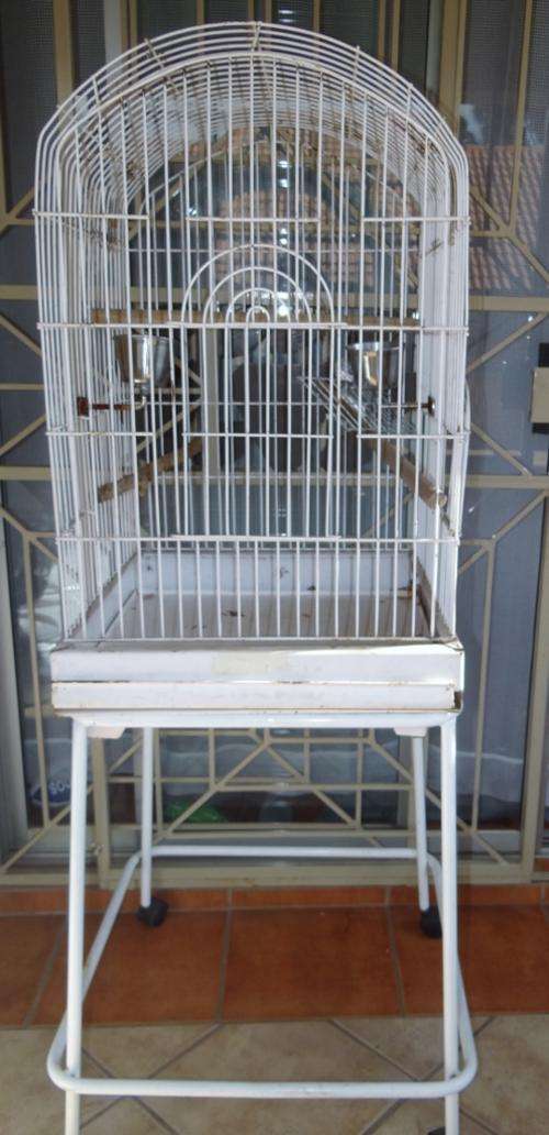 Parrot Cage and stand for your collection Only