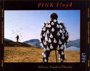Pink Floyd - Delicate Sound Of Thunder (2xCD, Album)