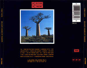 Pink Floyd - Delicate Sound Of Thunder (2xCD, Album)