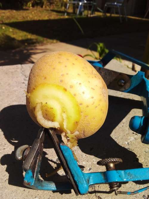 Antique Patatoe/Apple Peler - HARTE FRUCHTE WEICHE D.B PAT 103 - 100% Working