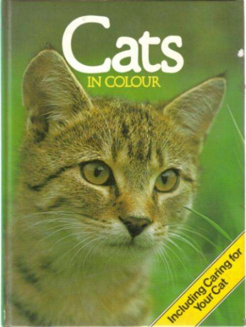 Cats in Colour - Hardcover