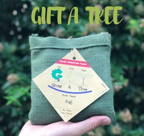 Coral tree or Wealth Tree, Grow a Tree in a Bag - Perfect Gift, DIY kit for a tree !