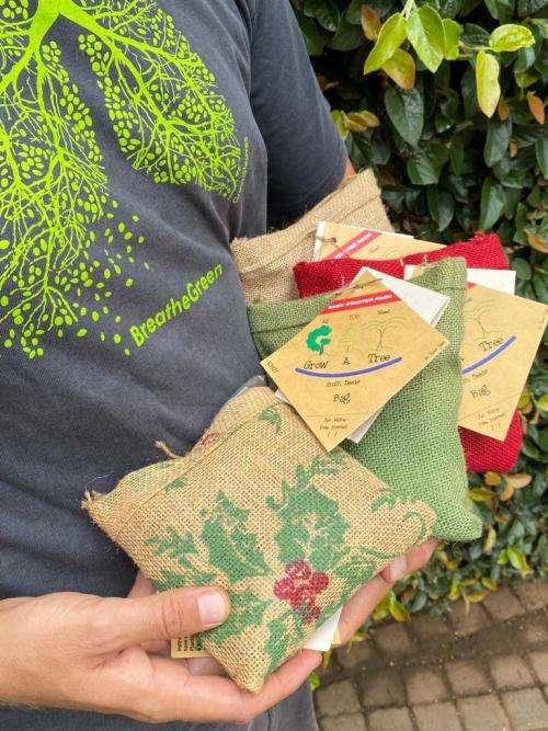 Coral tree or Wealth Tree, Grow a Tree in a Bag - Perfect Gift, DIY kit for a tree !