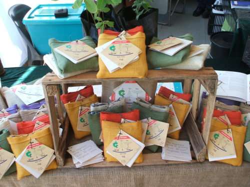 Coral tree or Wealth Tree, Grow a Tree in a Bag - Perfect Gift, DIY kit for a tree !