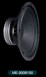 Sammi ME-300B100 Musical Instrument Speaker Series 12"