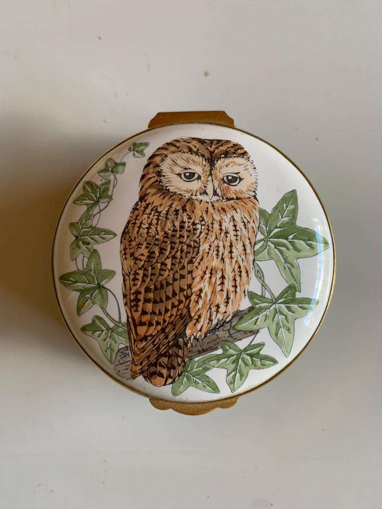 #81 Crummles enamel trinket box - Owl