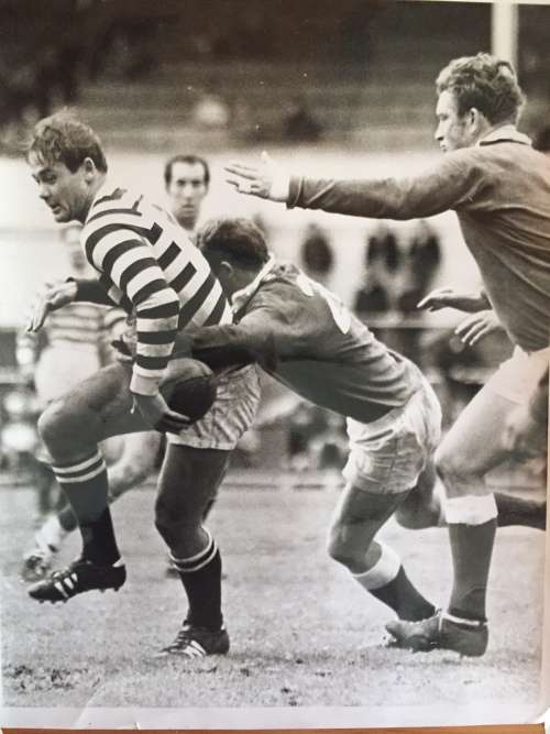 Niall Edwards Original Photo rugby Ikeys Western Province WP circa 1987