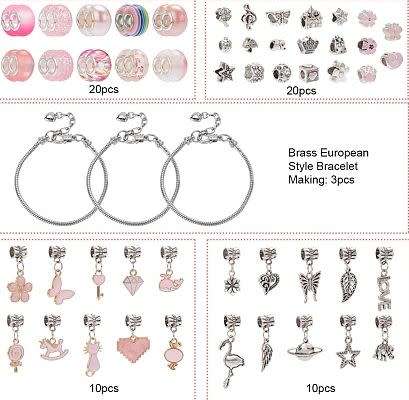 ***DIY***  Bracelet Making Kit, Tibetan Style Alloy, Enamel and Resin European Beads, Bracelets