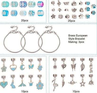 ***DIY***  Bracelet Making Kit, Tibetan Style Alloy, Enamel and Resin European Beads, Bracelets