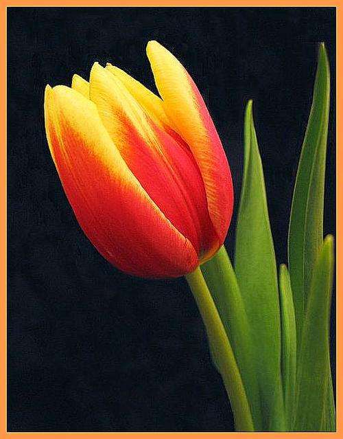 5907 Piece Glass Beads & Findings