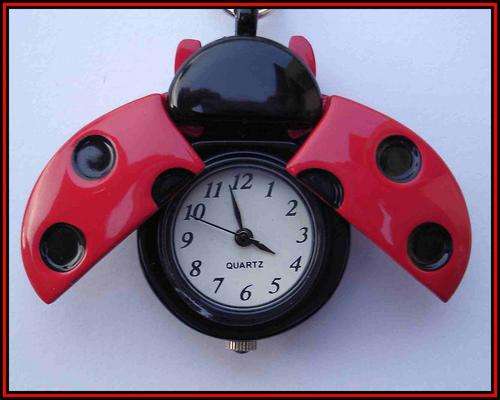 LADYBIRD KEYRING PENDANT WATCH