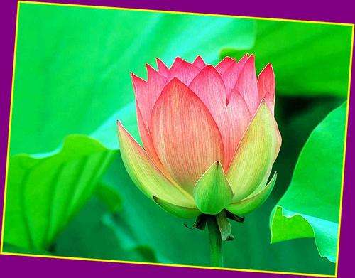 5810 Piece Glass Beads