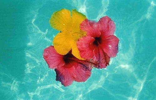 Massive Kit +++ 11063 +++  Piece +++Beads & Findings+++