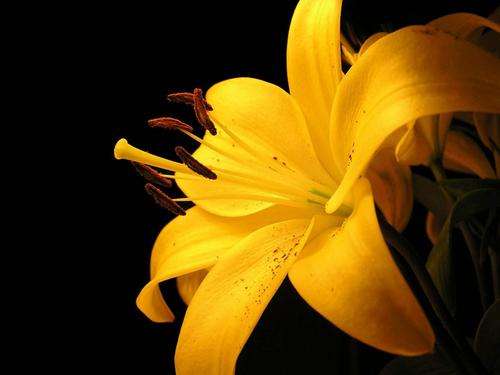 ^^^8235 ^^^Clearance Sale - Beads & Findings