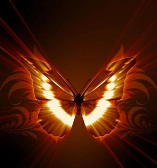 Glass Beads & Findings Kit