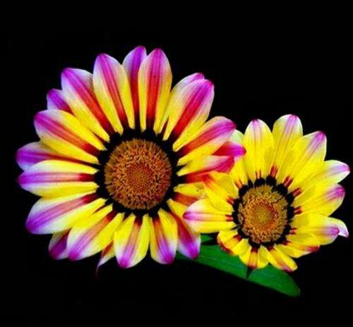 800g +++ Mix Lot+++ Acrylic Beads