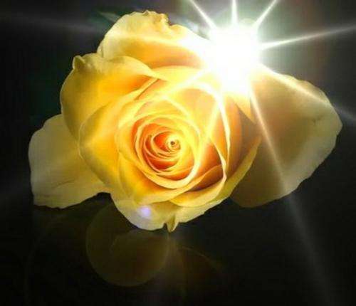 R1 No Reserve -- Great Selection -- Glass Beads & Findings