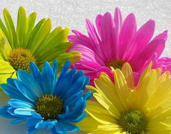 R1 - No Reserve - 1 Kg -- Assorted Beads & Findings--