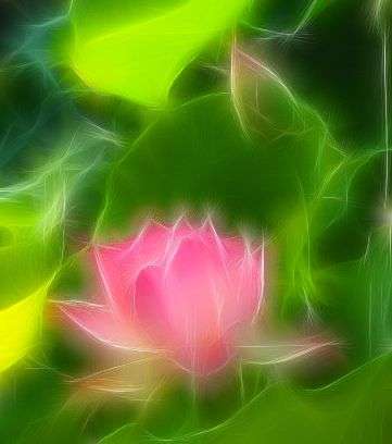 500g Mix Acrylic Beads