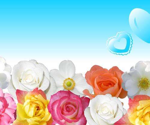 1.1 Kg -- Mix Lot -- Assorted Beads -- And Findings --