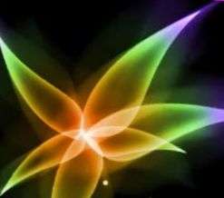 Lovely Selection - Glass Beads & Findings