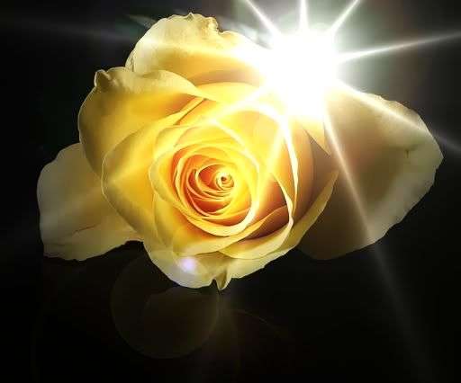 ((Crazy Wednesday))-(( Glass Beads & Findings))