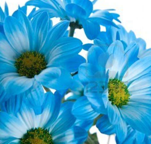 Lampwork, Glass Beads & Findings