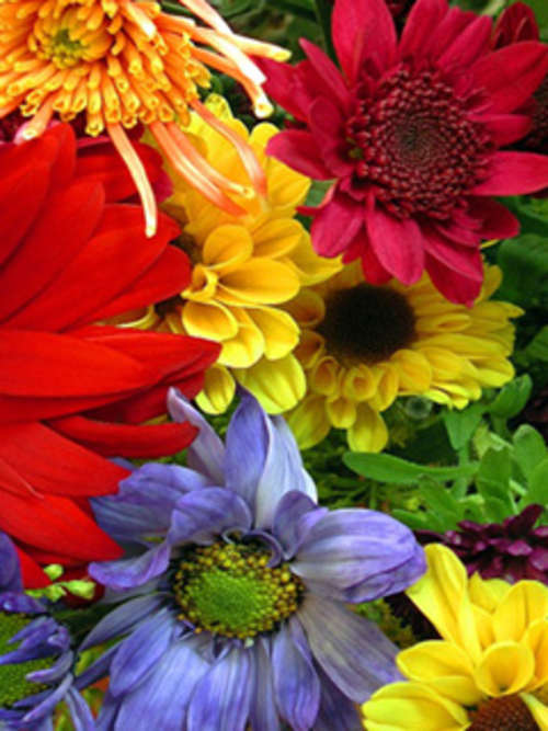 ++Beads ++Mix Lot In a Box++