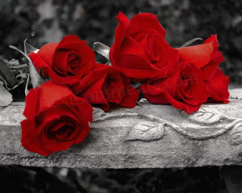 2.3 Kg Mix Lot - Glass Beads & Findings