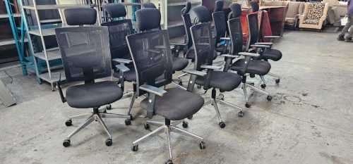 Office Chairs (UKHUNI) ERGOTHERAPY with headrest