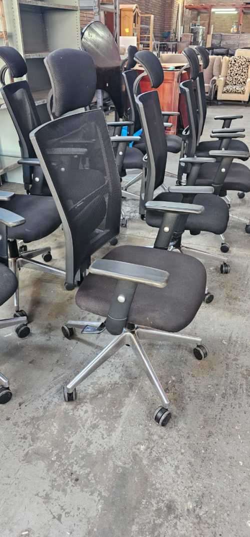 Office Chairs (UKHUNI) ERGOTHERAPY with headrest